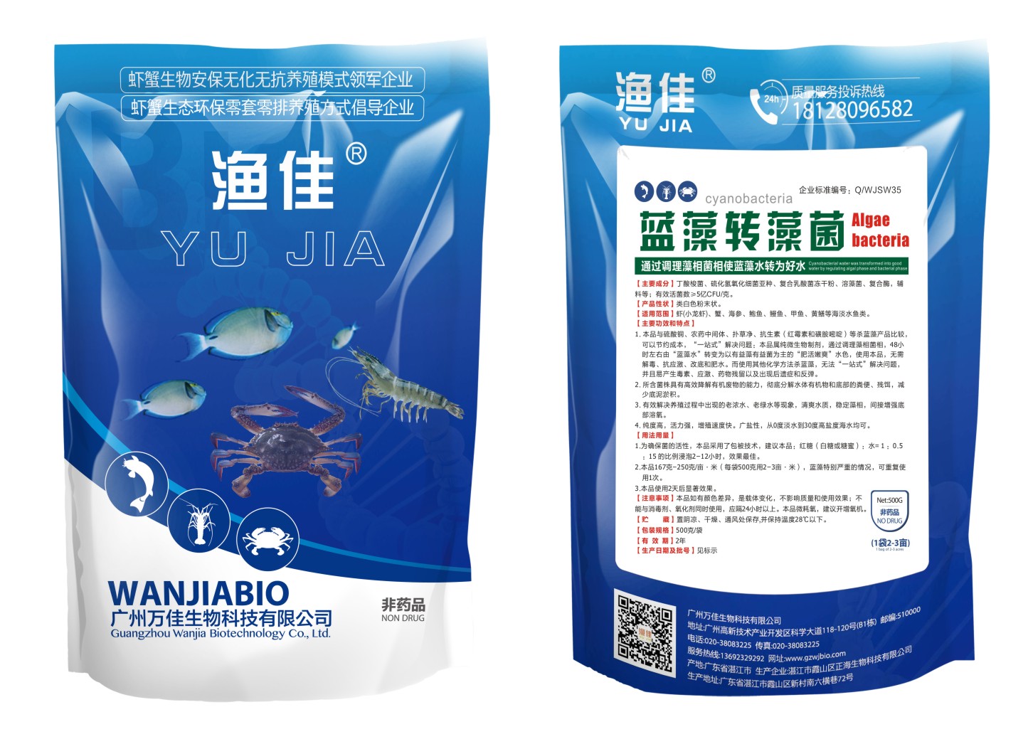 藍藻轉藻菌